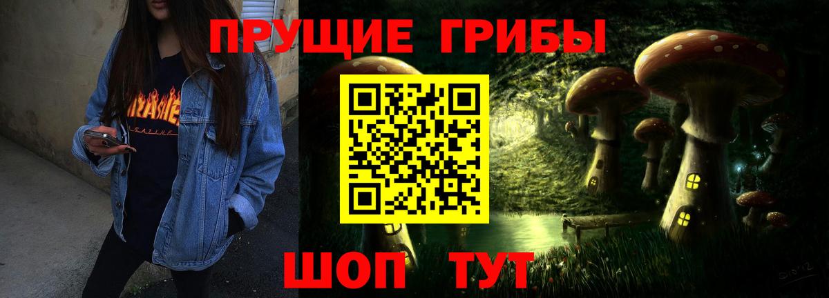 Галлюциногенные грибы Psilocybe  Вход с VPN  Янаул 